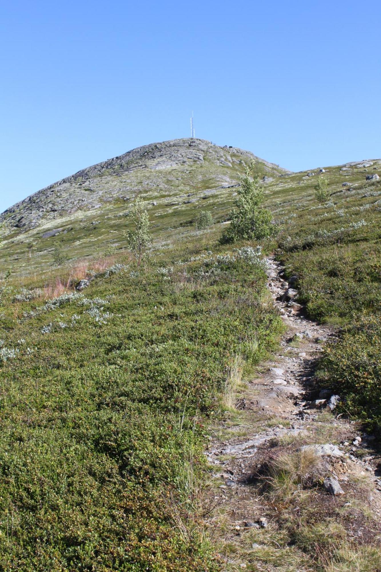 Jotunheimen Feriesenter Villa Heidal Exteriör bild